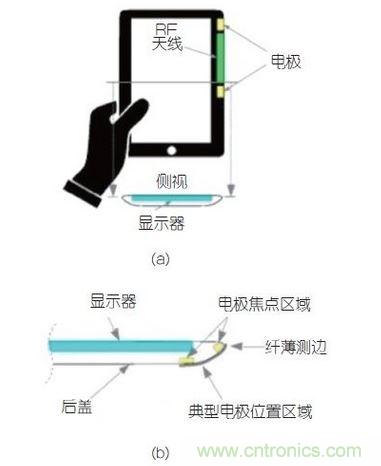 (a)側(cè)剖視圖描述；(b)電極焦點(diǎn)區(qū)域描述