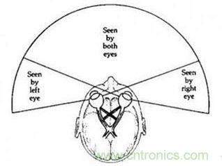 雙目重疊技術(shù)在VR中有什么作用？