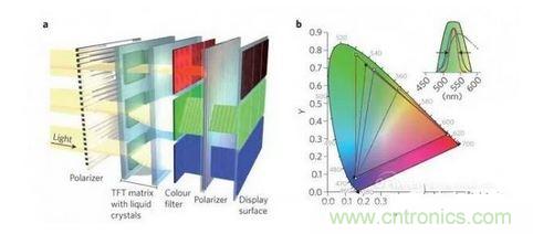  LCD顯示器示意圖。TFT表示薄膜晶體管（thin-film transistor）。