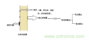 仿生傳感器的定義、原理、分類及應(yīng)用