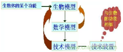 仿生傳感器的定義、原理、分類及應(yīng)用