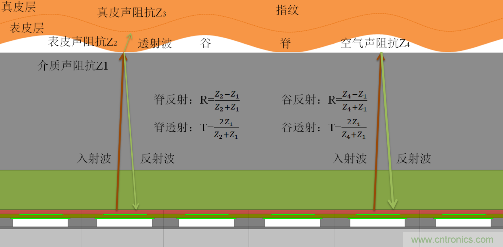 屏下指紋再添異彩! 上海思立微電子突破超聲新技術(shù)